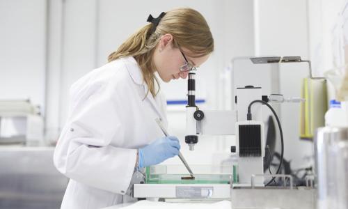 社会责任及环境承诺