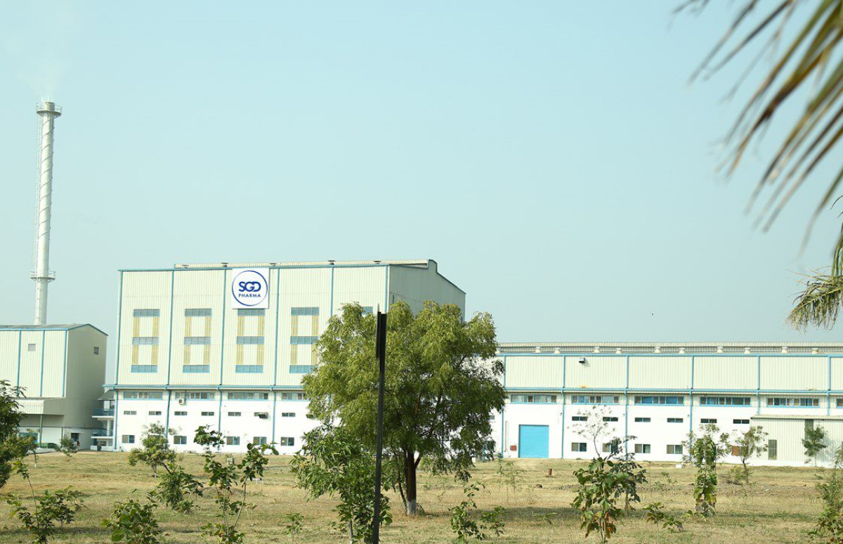 Vemula plant